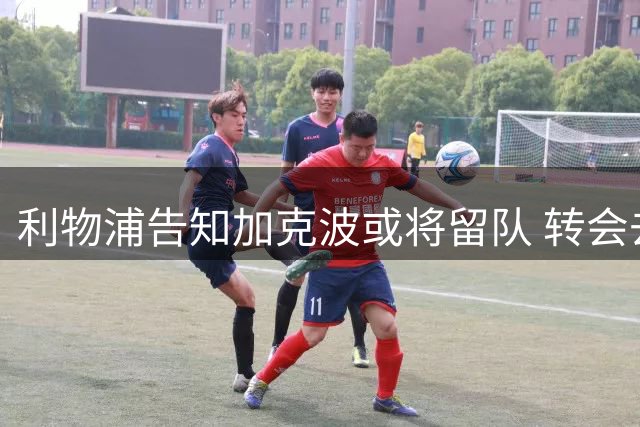 利物浦告知加克波或将留队 转会去留取决于萨尔交易进展